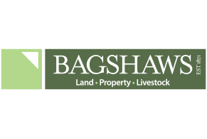 Bagshaws Estate Agents 
