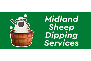 Midlands Sheep Dipping 